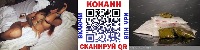 маркетплейс официальный сайт  Жердевка  Cocaine Fish Scale  купить наркотики цена 