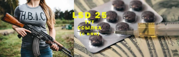 дживик Няндома