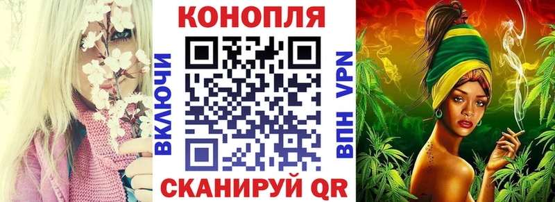 как найти закладки  Жердевка  мега вход  Канабис SATIVA & INDICA 